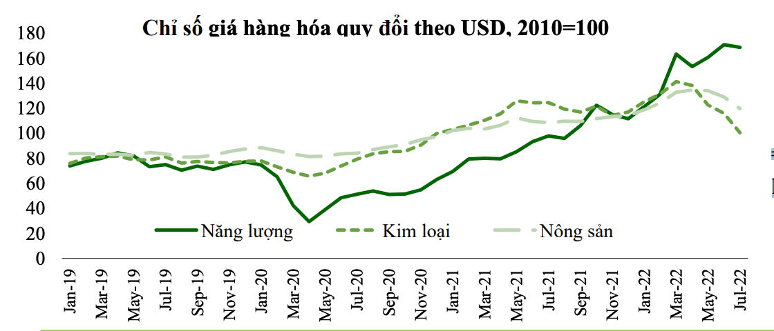 anh-chup-man-hinh-2022-08-13-luc-11.00.22.png