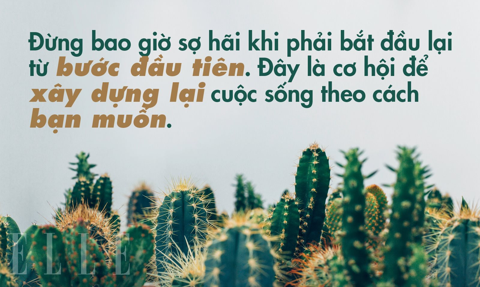 Câu chuyện khởi nghiệp của cha đẻ thương hiệu KFC: Không bao giờ quá trễ để bắt đầu