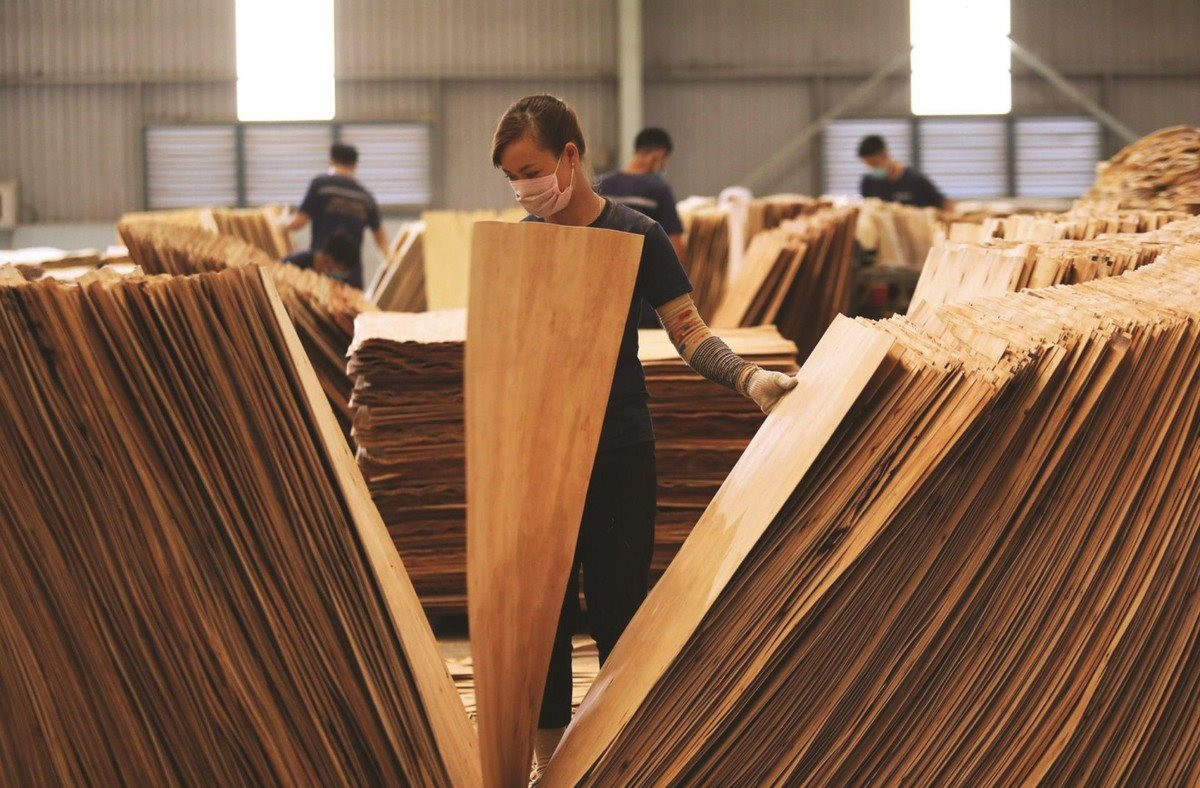 Hoa Kỳ gia hạn kết luận điều tra chống bán phá giá đối với gỗ dán từ Việt Nam