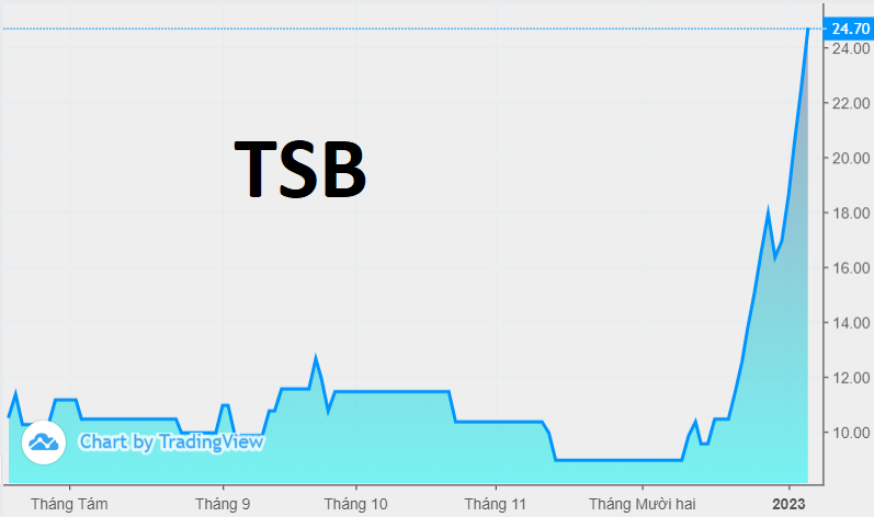 Tăng 174% sau gần 1 tháng, cổ phiếu TSB vẫn cách giá "thoát hàng" của Vinachem 37%