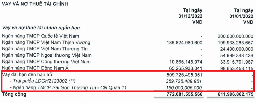 Năm 2022 của Đầu tư LDG: Vốn chủ gần 3.300 tỷ, kinh doanh mỗi tháng lãi 330 triệu đồng