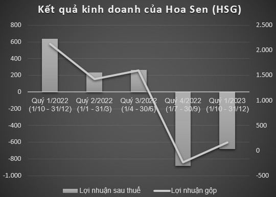 Hoa Sen (HSG): Lỗ quý 1 giảm mạnh, tất toán toàn bộ nợ vay bằng USD