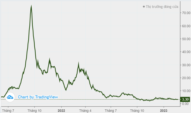 Louis Capital (TGG) tổ chức 