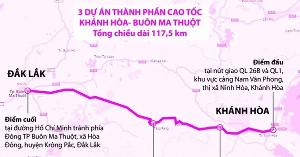 Chính phủ: Phải dứt điểm tình trạng “xếp hàng” chờ đăng kiểm ngay trong tháng 3