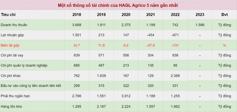 ĐHCĐ HAGL Agrico: Kế hoạch lỗ năm thứ 3 liên tiếp, 1,1 tỷ cổ phiếu HNG chờ ngày hủy niêm yết?