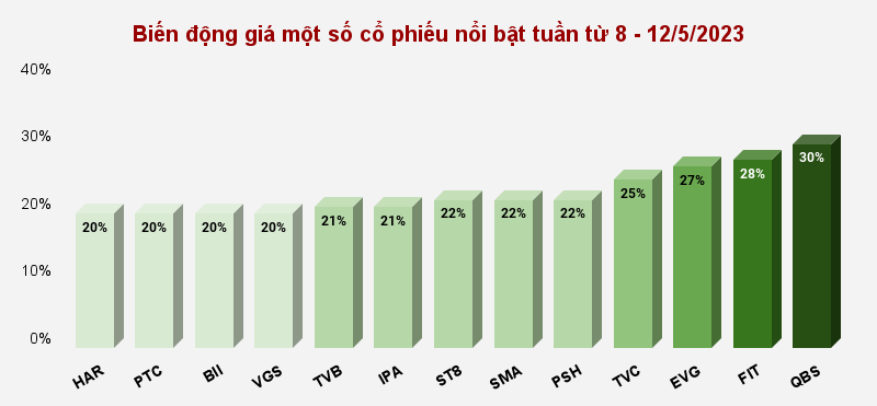 Cổ phiếu penny bất động sản: Bảo vệ 