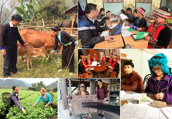 Thủ phủ bò sữa Sơn La cập nhật tình hình khu nông nghiệp ứng dụng công nghệ cao