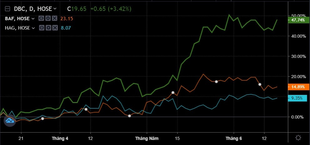 Hối hả DBC: Cổ phiếu tăng 45% vì đâu?