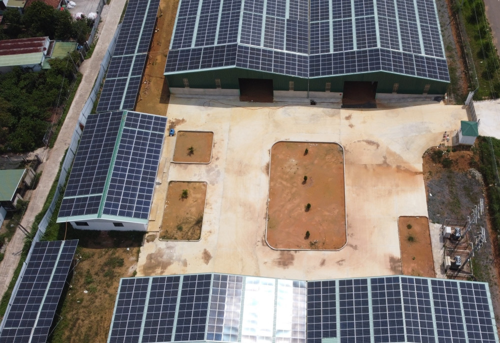 Lâm Đồng yêu cầu dừng mua bán điện mặt trời mái nhà của doanh nghiệp đầu tư sai quy định