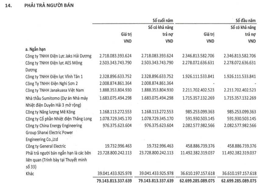 EVN lỗ 20.700 tỷ đồng - góc nhìn từ khoản đi vay các đơn vị thành viên 267.000 tỷ đồng