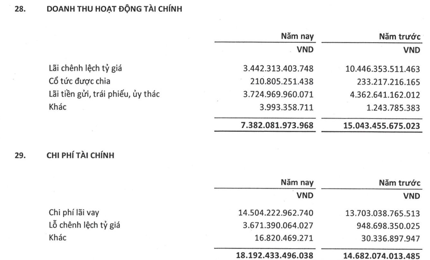 EVN lỗ 20.700 tỷ đồng - góc nhìn từ khoản đi vay các đơn vị thành viên 267.000 tỷ đồng