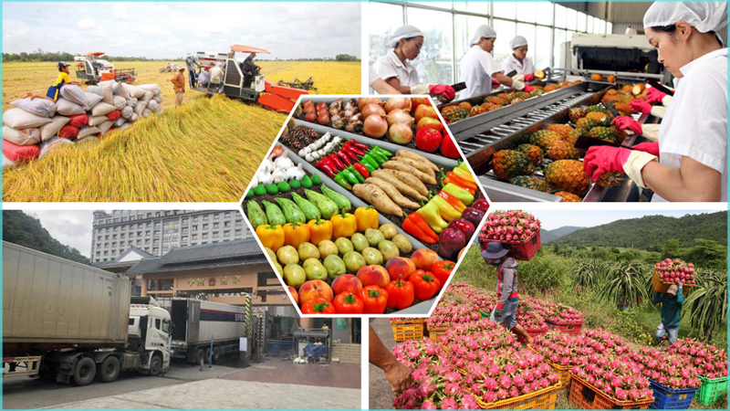 Các sản phẩm hàng hoá Việt Nam có dư địa mở rộng thị phần xuất khẩu từ thị trường ngách