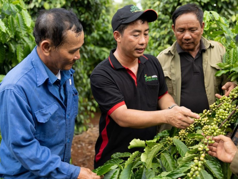 Chia sẻ kỹ thuật canh tác cà phê bền vững với người nông dân