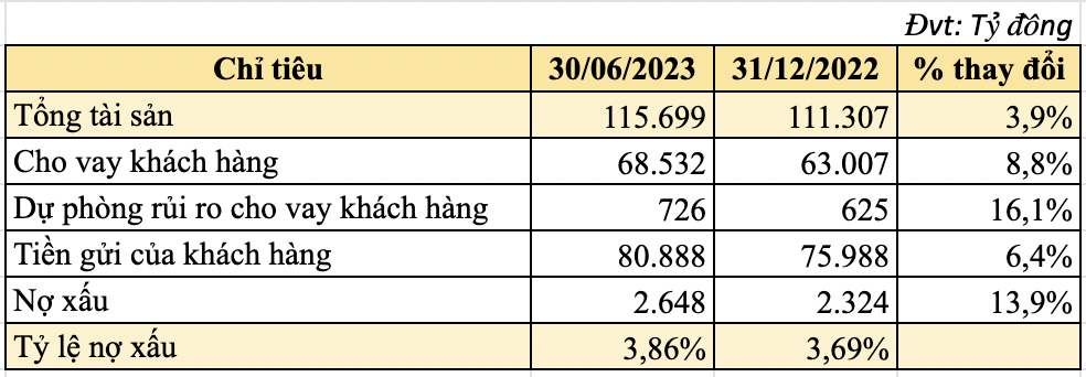 VietBank (VBB): Lợi nhuận giảm 38%, tỷ lệ nợ xấu chạm mức 3,86% trong quý 2