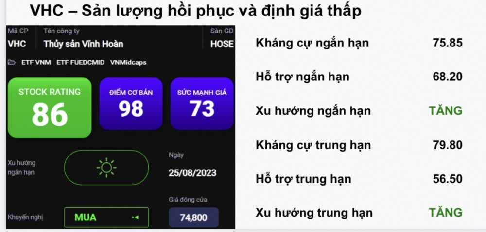 Cổ phiếu đáng chú ý ngày 29/8: VIX, DXG, VHC