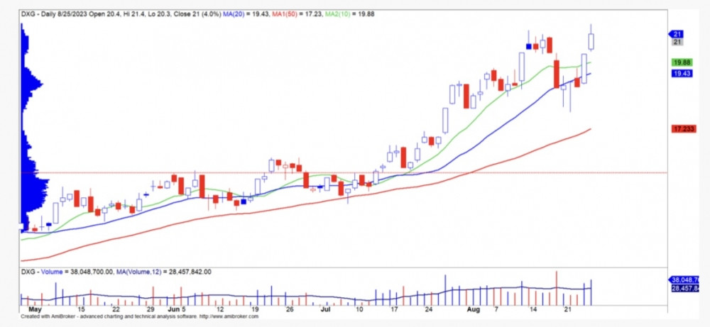 Cổ phiếu đáng chú ý ngày 29/8: VIX, DXG, VHC