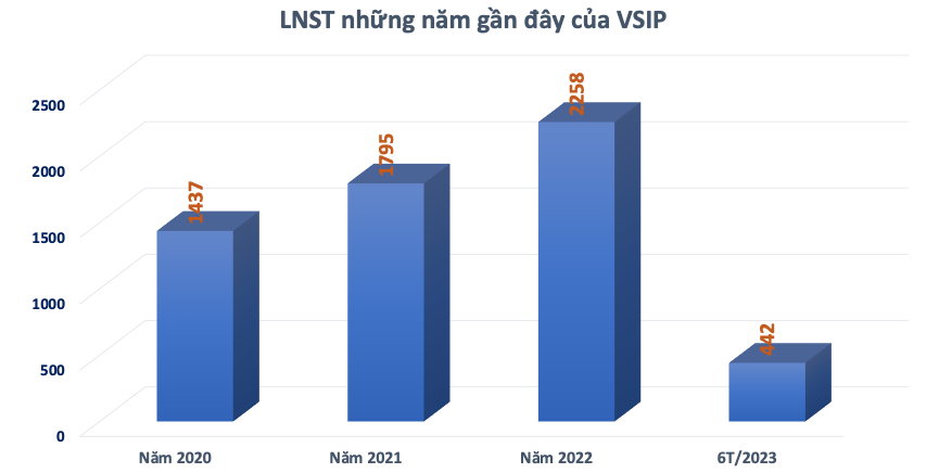 Chuỗi VSIP có đại gia Singapore 