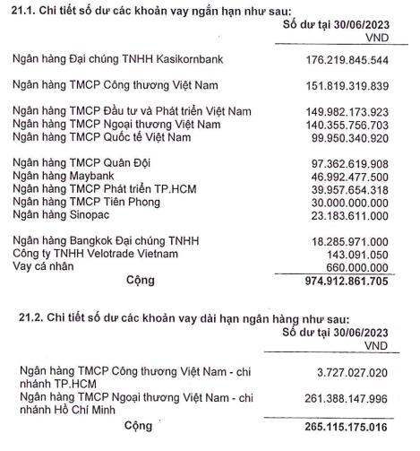 Rạng Đông Holding (RDP) chuẩn bị phát hành 30 triệu cổ phiếu để huy động tiền trả nợ