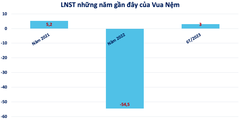 Bất ngờ Vua Nệm: còn dư nợ trái phiếu, lãi vỏn vẹn 3 tỷ đồng nửa đầu năm