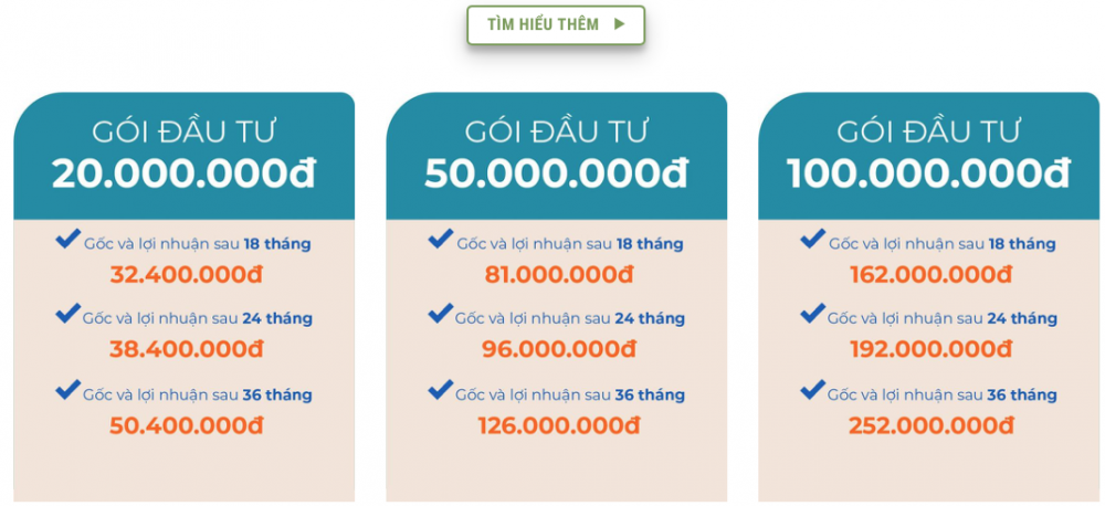 Hệ sinh thái “khủng” của CEO công ty Nhật Nam vừa bị khởi tố, bắt tạm giam – bà Vũ Thị Thúy