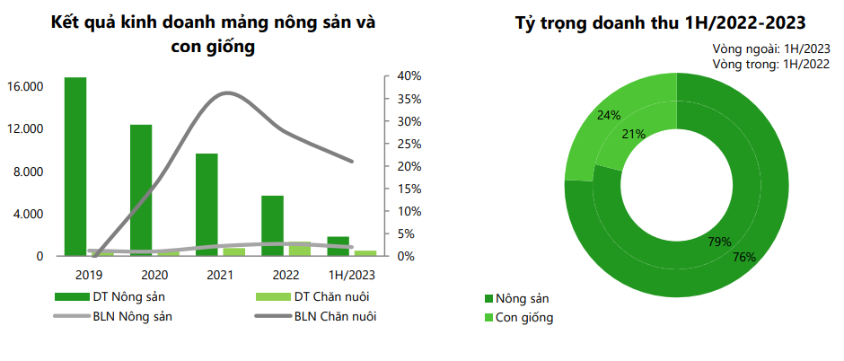 Kỳ vọng giá thịt heo tăng cao, các doanh nghiệp chăn nuôi Việt bội thu