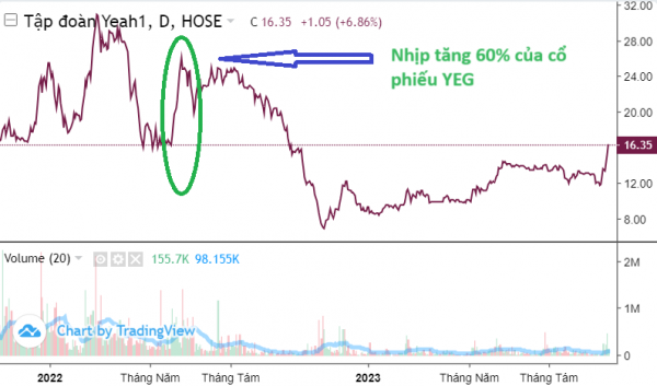 Cổ phiếu YEG tăng 40% sau 6 phiên - chuỗi tăng giá mạnh nhất 17 tháng