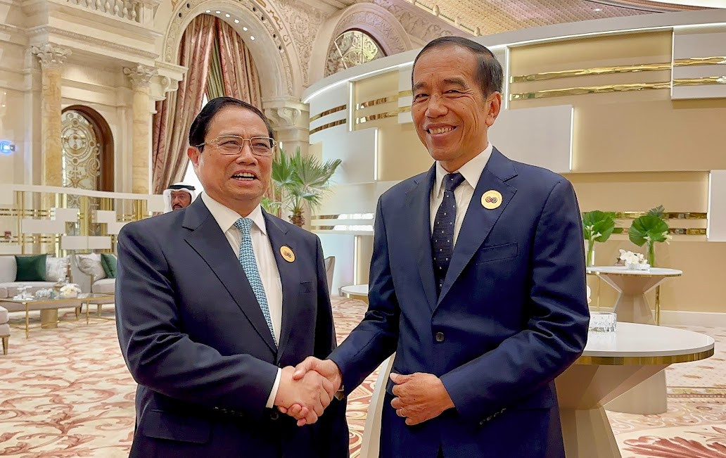 Sớm phê chuẩn Hiệp định phân định vùng đặc quyền kinh tế Việt Nam-Indonesia - Ảnh 1.