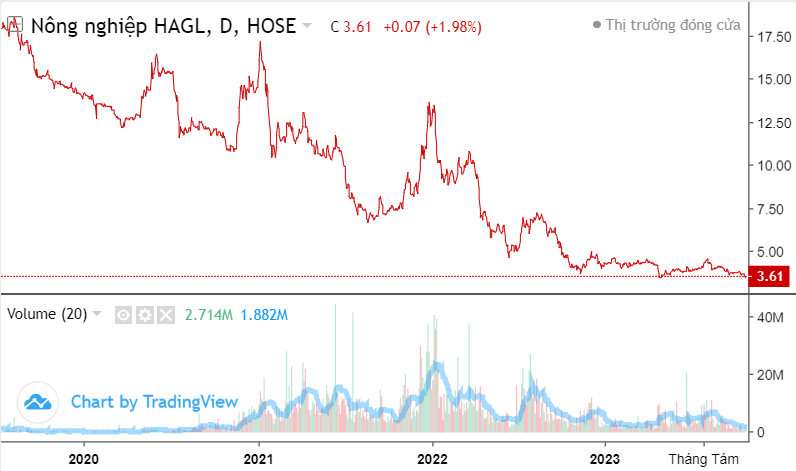 HAGL Agrico (HNG) lỗ quý thứ 10 liên tiếp, đang nợ HAGL hơn 1.300 tỷ đồng