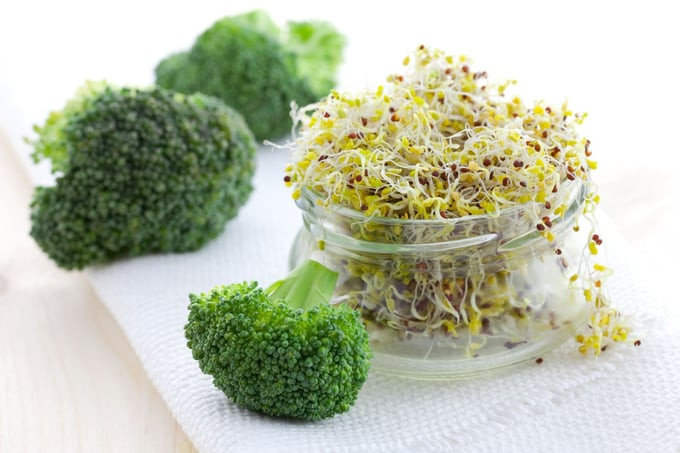 broccoli-and-sprouts
