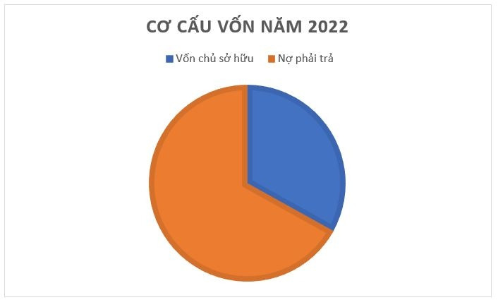 Chuỗi Thanh Hằng Beauty Medi: Vỏ bọc hào nhoáng đang che phủ bức tranh tài chính ảm đạm?