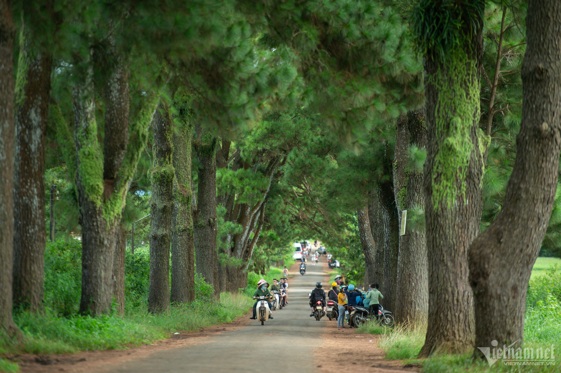 W-nguyen-hue-13-1.jpg