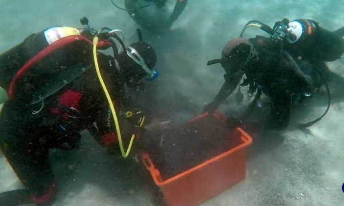Phát hiện 50.000 mảnh kim loại dưới biển sâu, người đàn ông bất ngờ tìm ra 