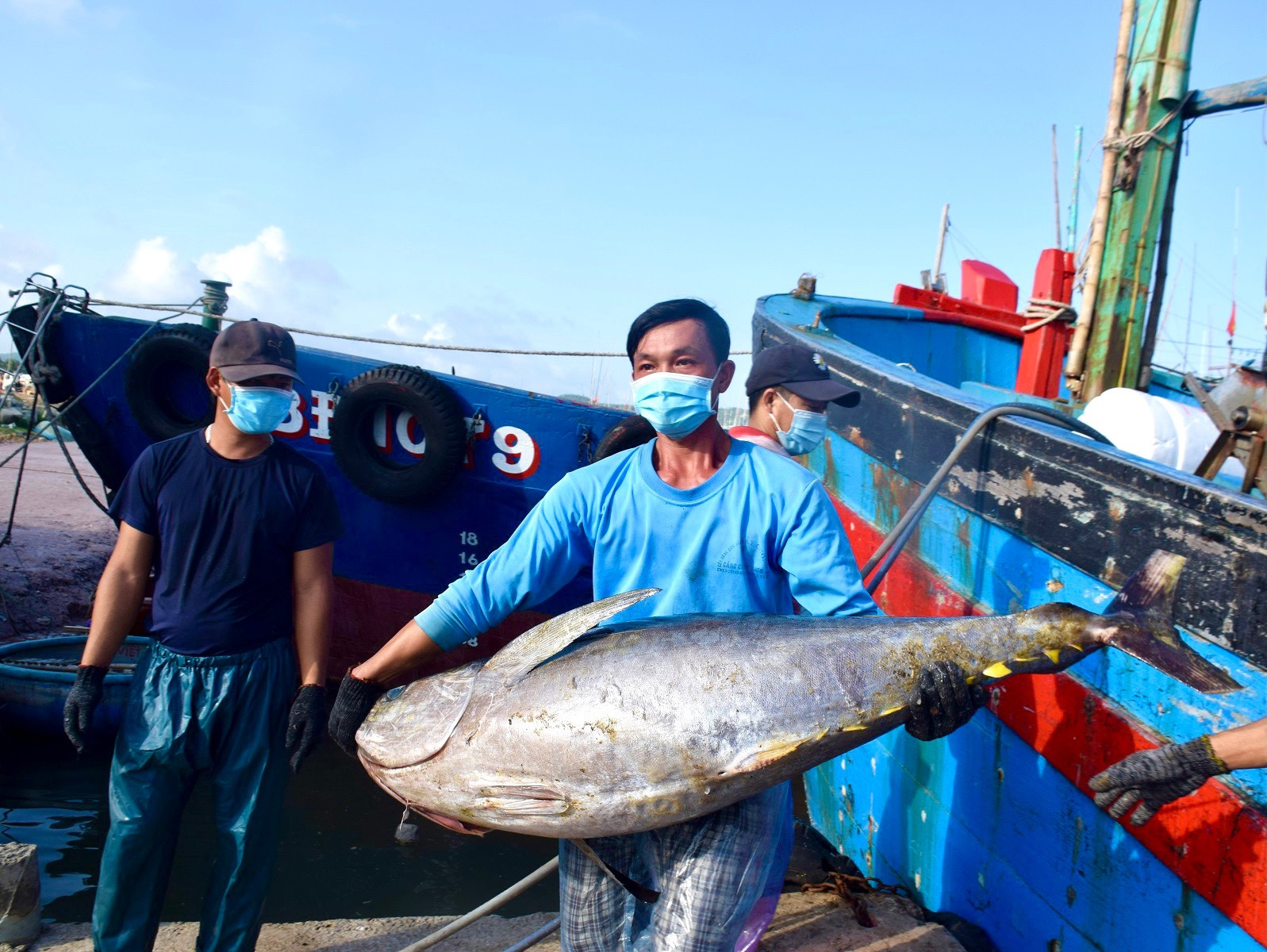 binh dinh la tinh co san luong danh bat ca ngu lon.jpg