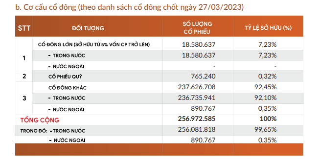 Thành viên nhà Đất Xanh (DXG) đang là cổ đông lớn duy nhất tại Đầu tư LDG?