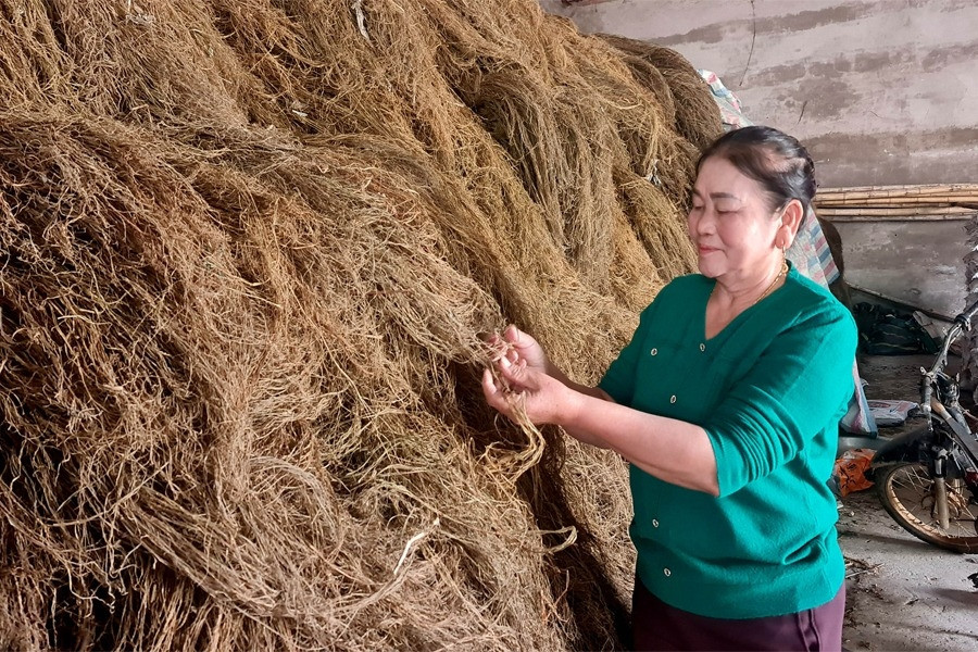 Trồng 'cây làm giàu', người dân Thanh Hoá lâm cảnh nợ nần