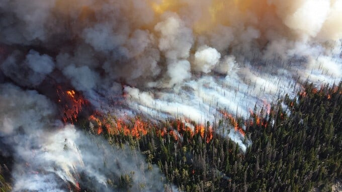Vụ cháy rừng năm 2013 khiến 90% công viên Royal Gorge cháy rụi.