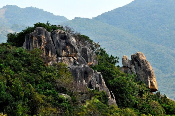 Những khối đá tự nhiên ở Khu dự trữ sinh quyển Núi Chúa
