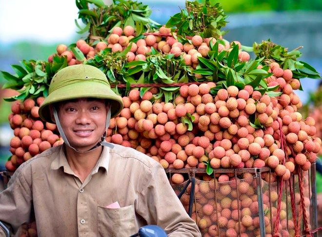 Hiểu thị trường Trung Quốc để xuất khẩu bền vững- Ảnh 2.