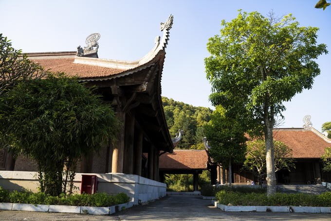 Khuôn viên chùa được cải tạo lại khang trang hơn và được phủ kín bởi cây xanh.