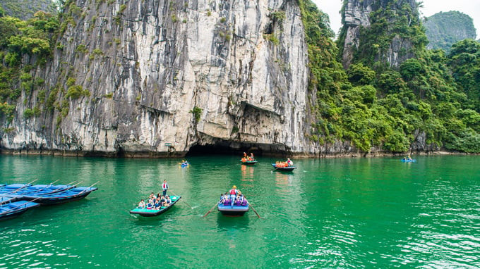 Tác giả bài viết ca ngợi: Vịnh Lan Hạ lộ diện như một xứ sở thần tiên trên mặt nước...