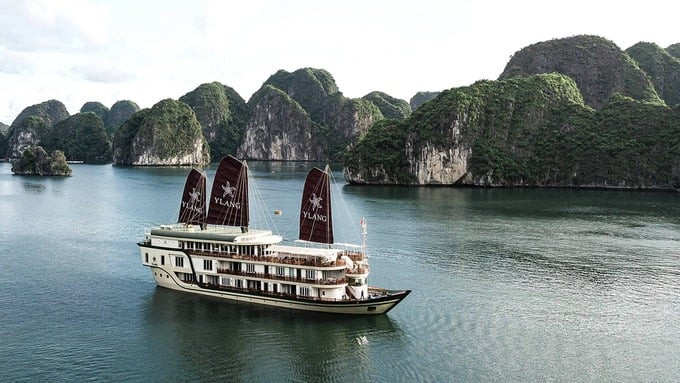 Du thuyền Ylang - Du thuyền cao cấp bậc nhất ở Vịnh Lan Hạ.