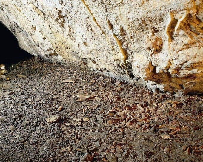 Bên trong hang vẫn còn dấu vết của một môi trường sống có niên đại hơn 16.000 năm