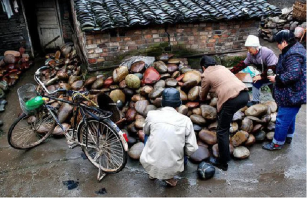 Ngôi làng kỳ lạ ở Trung Quốc: Người dân chuyên làm giàu từ nghề nhặt đá, bán một cục đá ở sông cũng đủ tiền xây nhà mua xe chỉ sau một đêm
