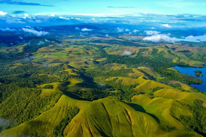 New Guinea được mệnh danh là ngôi nhà của một trong những dải rừng mưa nhiệt đới lớn cuối cùng còn sót lại trên Trái đất
