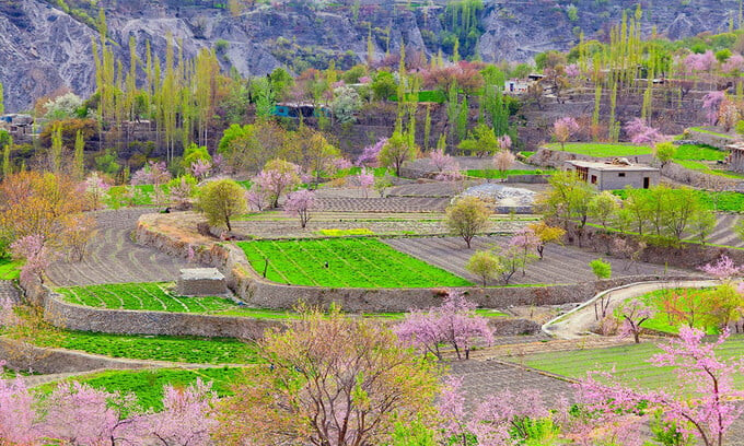 Thung lũng Hunza thuộc vùng Gilgit, Baltistan, ở phía bắc Pakistan