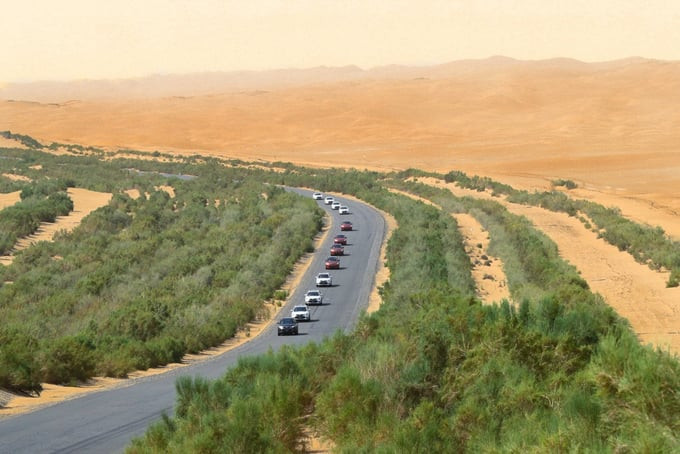 “Vành đai xanh” dài 436 km che chắn xa lộ xuyên sa mạc