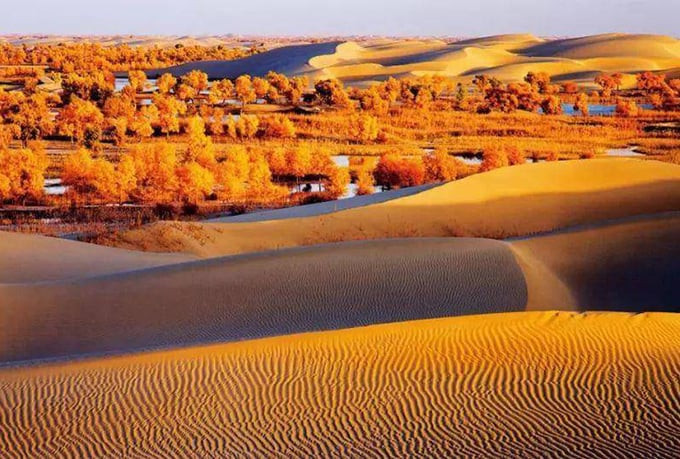 Đây là sa mạc lớn nhất Trung Quốc và lớn thứ 10 trên thế giới