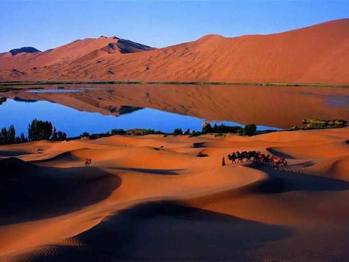 Tổng diện tích của sa mạc này lên tới 330.000km2