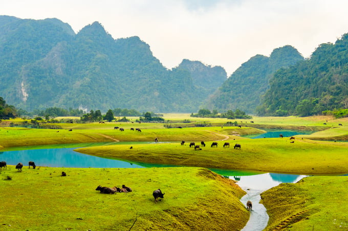 Thảo nguyên Đồng Lâm Hữu Liên - Lạng Sơn