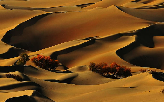 Taklimakan là mạc lớn nhất ở Trung Quốc và lớn thứ 2 trên thế giới